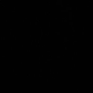 Meet your Posher, Jamane